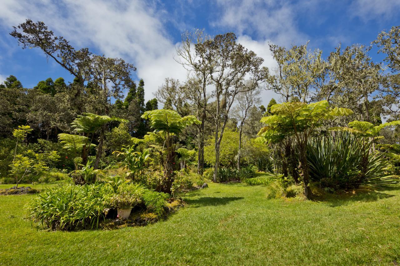 Hale 'Ohu Bed & Breakfast Volcano Exterior photo