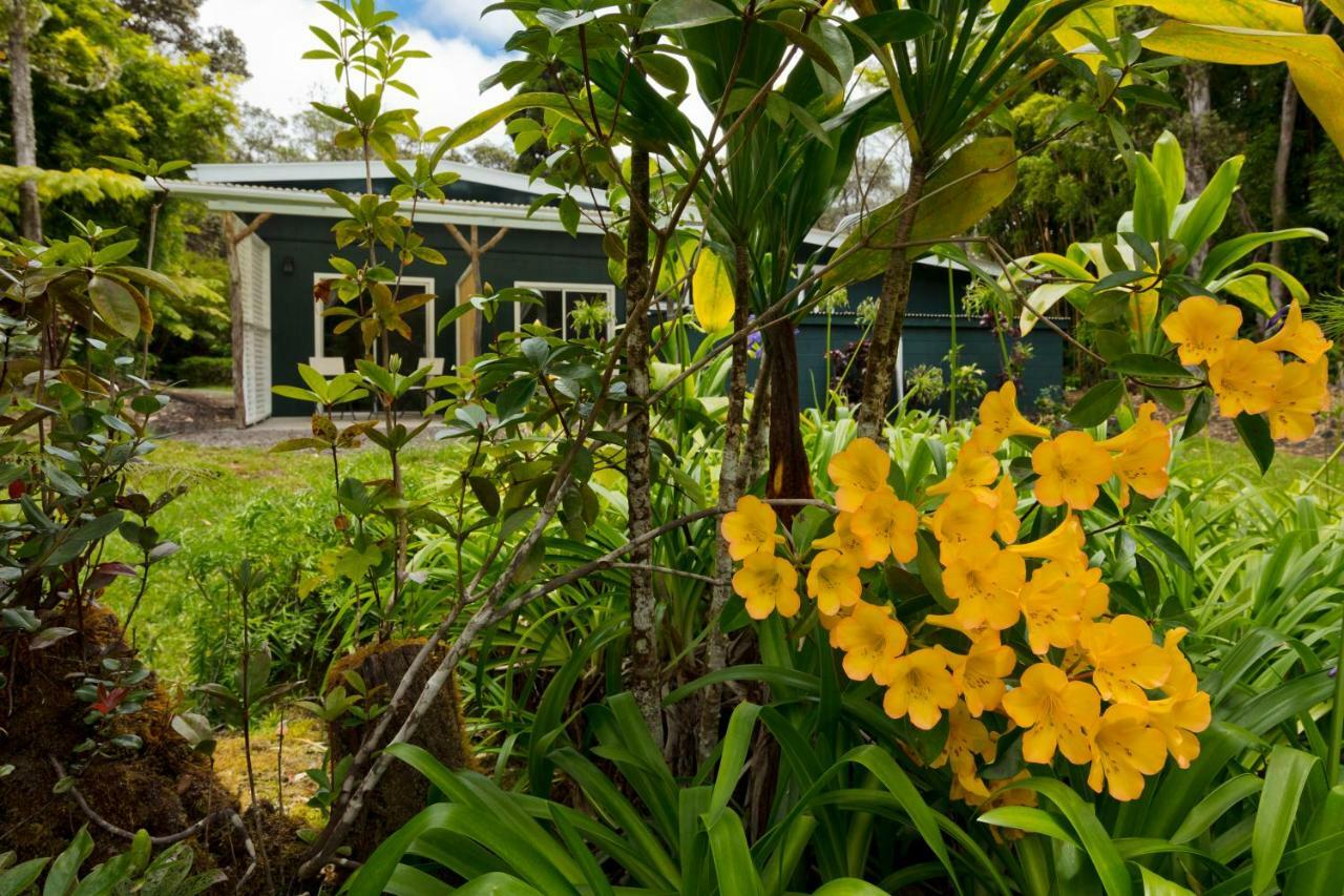 Hale 'Ohu Bed & Breakfast Volcano Exterior photo